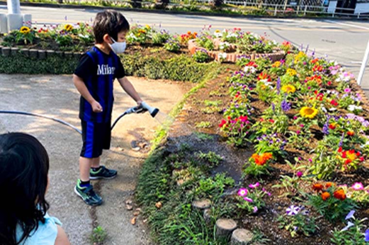 花壇の植栽